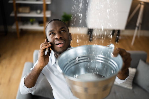 Best Flood restoration services  in Veedersburg, IN