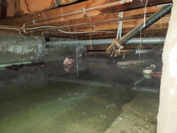 Best Water damage restoration specialists  in Veedersburg, IN