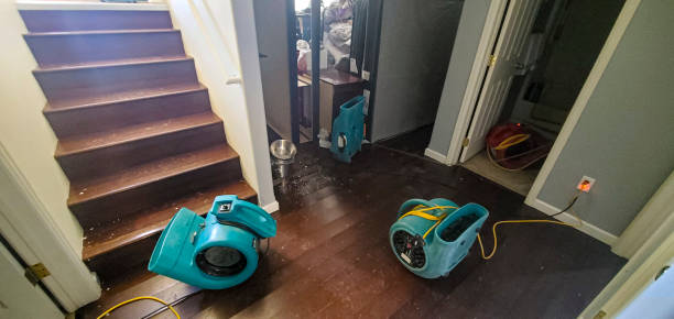 Best Mold removal after water damage  in Veedersburg, IN