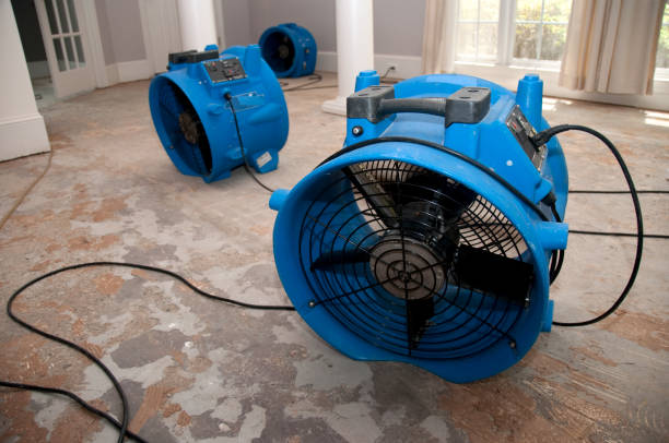 Best Local water damage restoration  in Veedersburg, IN