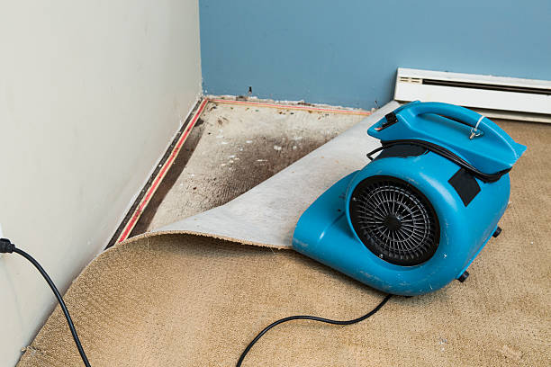 Best Water damage restoration near me  in Veedersburg, IN